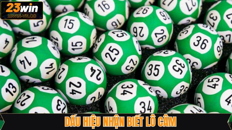 Lô Câm - Bí Quyết Nâng Cao Khả Năng Chiến Thắng Trên 23Win 3 Nắm được dấu hiệu xuất hiện của lô câm
