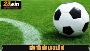 Kèo Tài Xỉu 1.5 2 Là Gì - Cách Chơi Dễ Hiểu Cho Người Mới