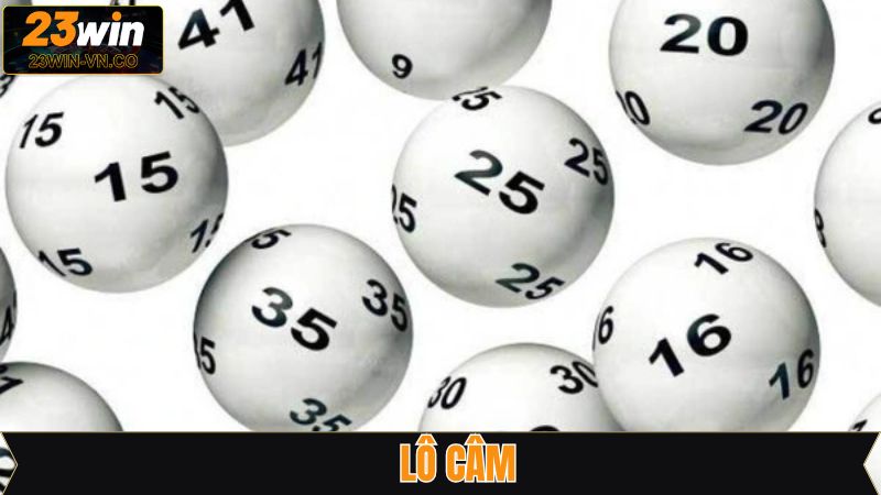 Lô Câm - Bí Quyết Nâng Cao Khả Năng Chiến Thắng Trên 23Win 