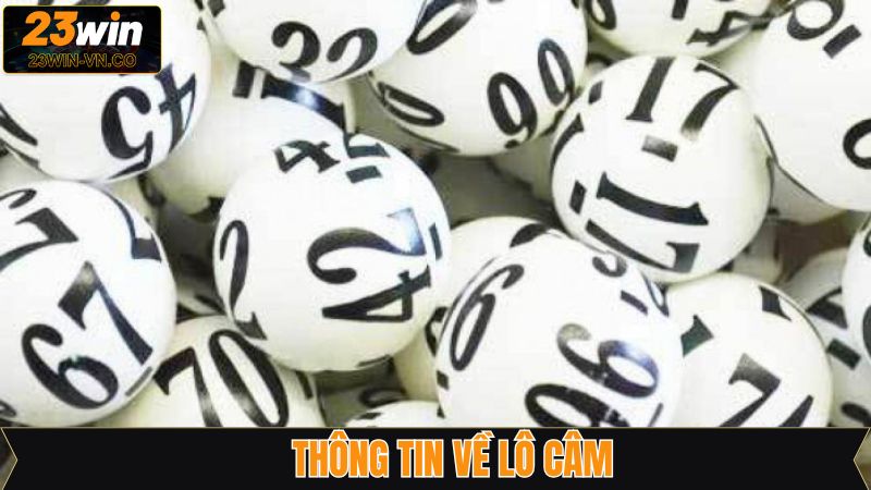 Lô Câm - Bí Quyết Nâng Cao Khả Năng Chiến Thắng Trên 23Win 2 Nội dung tổng quan về hiện tượng câm số trong lô đề