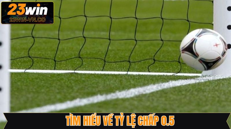 Chấp 0.5 - Bí Kíp Cá Cược Thắng Lớn Tại Nhà Cái 23Win 2 Khái quát chung về tỷ lệ cá cược chấp 0.5